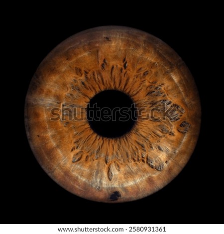 Iris Photography - Simple Singularity#6