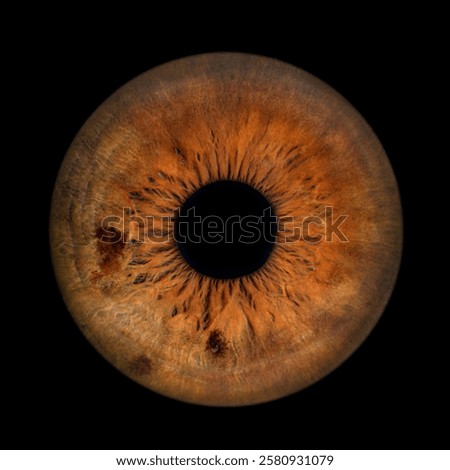 Iris Photography - Simple Singularity#8