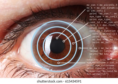 Iris or retina scanner being used on Human Eye. Part of computer code. Security concept 