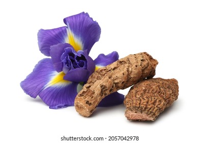 Iris Rhizome And Flower On White Background