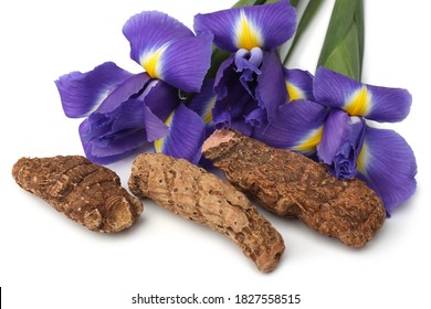 Iris Rhizome And Flowers On White Background