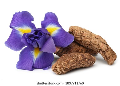 Iris Rhizome And Flowers On White Background