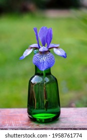 Iris Sibirica Blue Purple Flower In An Emerald Green Glass Vase	
