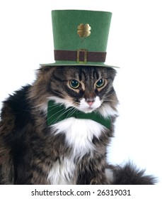 Irish Cat With Leprechaun Hat