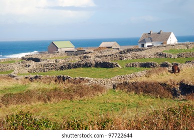 Irish Cottages, Aran Islands