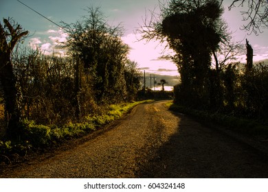 Irish Country Road