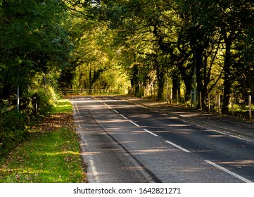 The Irish Country Road At Autumn