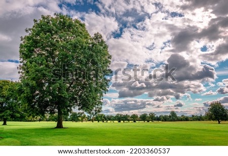 Irish landscape with tree under dramatic sky in the summer. Picture taken in the Public Park of Malahide Castle, in Malahide, an affluent coastal settlement in Fingal, County Dublin, Ireland.