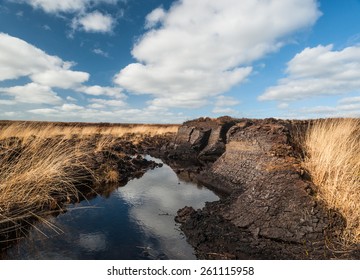 Irish Peat Bog 