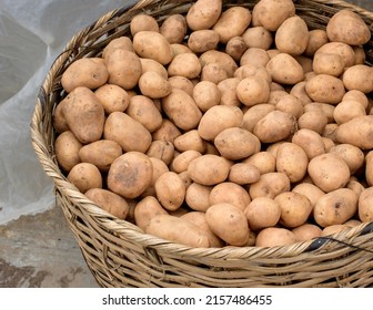 Irish Potatoes Fill Up A Basket In A Lagos Market.