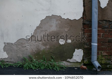 Similar – Image, Stock Photo window seat Plant Flower