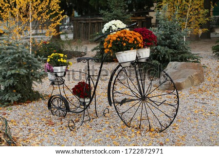 
iron bicycle with flowers in the park in autumn