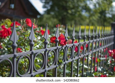 Iron Fence