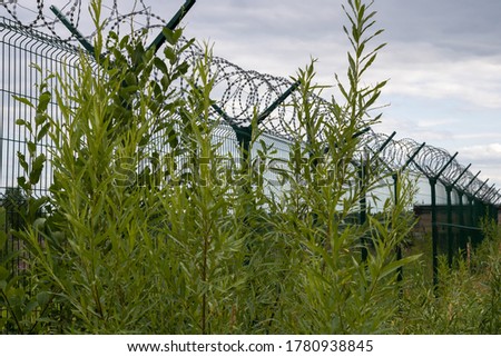 Similar – Image, Stock Photo dreary Environment Winter