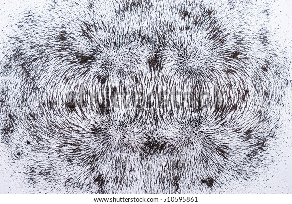 iron filings show\
magnetic field lines. Science Magnetic Field. Physics magnetic\
field. Two Magnetic Field.