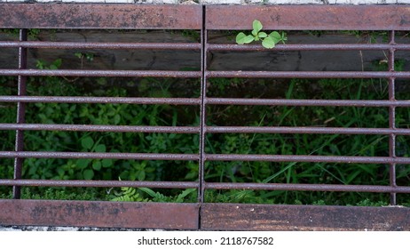 Iron Grate Of A Drainage System For Storm Water Drainage In Side A Pedestrian Sidewalk