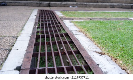 Iron Grate Of A Drainage System For Storm Water Drainage In Side A Pedestrian Sidewalk