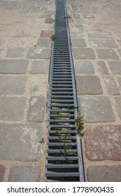 Iron Grate Of Storm Water Runoff On The Sidewalk