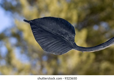 Iron Leaf On An Old Cemetary Gate.