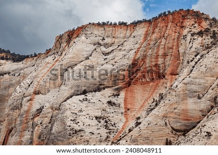 Iron and minerals combine with precipitation to form red trails down the white sandstone cliffs of Weeping Rock in Zion National Park, Utah.