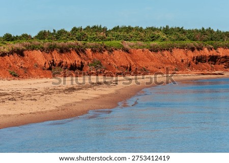 Iron reached red cliffs and sandy beach on Atlantic coastline, Prince Edward Island National park
