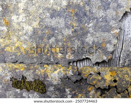 Similar – Image, Stock Photo Detail of partially destroyed old grave in a cemetery