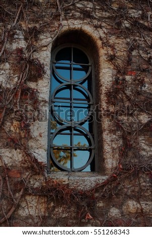 Image, Stock Photo dog leaning out the round window, france