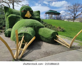 Irpin Park without People After War Attack of the Russian Soldiers. Big Bird with red eyes laying in park Green Grass, Trees No People. Beautiful Park with Green Grass Forest. 15 April 2022
