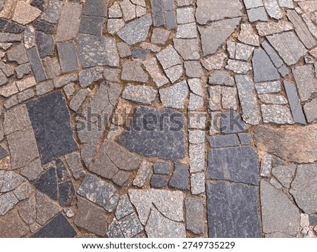 Irregular cobblestone pavement pattern with gray and pink granite stones and moss