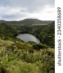 The irregular Lagoa Comprida surrounded by mountains, with endemic vegetation in the foreground. Flores Island.