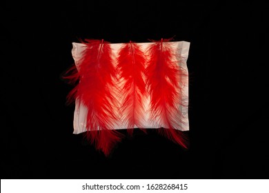 Irregular Period Concept. Menstrual Cycle Pad With Red Feathers On Black Background. Menorrhagia Or Heavy Menstruation Bleeding. Feminine Critical Days Hygiene Products. Creative Minimalism Dark Photo