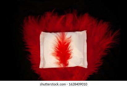 Irregular Period Concept. Menstrual Cycle Pad With Red Feathers Fan On Black Background. Menorrhagia Or Heavy Menstruation Bleeding. Feminine Critical Days Hygiene.Creative Minimalism Photo