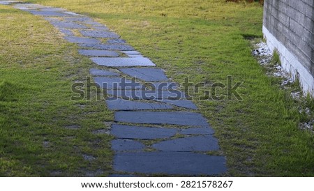 Irregular Stepping Stone Path Winding Through Green Grass Lawn Towards a Building Wall