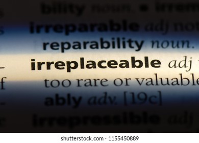 irreplaceable word in a dictionary. irreplaceable concept.