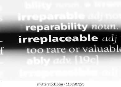 irreplaceable word in a dictionary. irreplaceable concept.