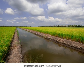 Irrigation canal for agriculture in South Asian countries.