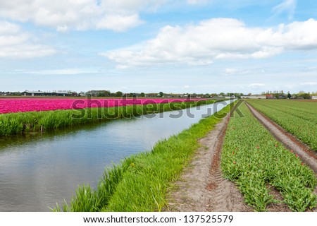 Similar – Image, Stock Photo on a meadow between two trees hangs a red hammock, under it lies a pink air mattress