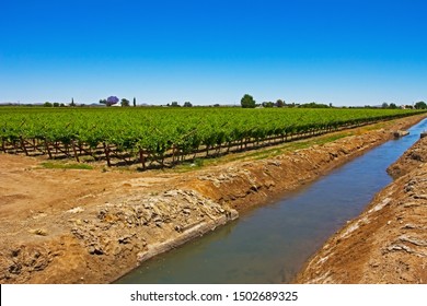 Irrigation canal and green vineyard on island in Orange River flowing past grape vines in Northern Cape, South Africa