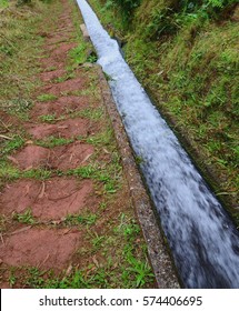 Irrigation canal levada in laurel forest, Madeira Island, Portugal
