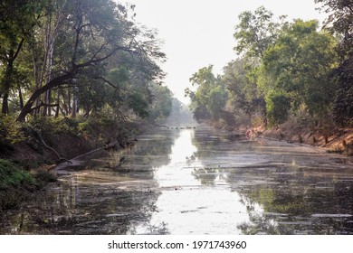 An Irrigation Canal Passing Through A Forested Countryside Lines With Trees In The Village Of Shantiniketan In West Bengal, India.