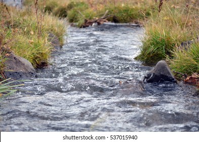 Irrigation Ditch