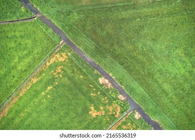 An Irrigation Field Ditch In A Field Of Green And Yellow Grass.