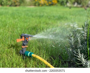 Irrigation Of Green Lawn. Garden Hose Sprinkler