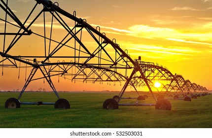 Irrigation pivot system on the wheat field at sunset