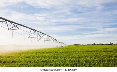 Irrigation pivot watering a a green crop.