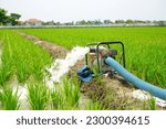 Irrigation of rice fields using pump wells with the technique of pumping water from the ground to flow into the rice fields. The pumping station where water is pumped from a irrigation canal system.