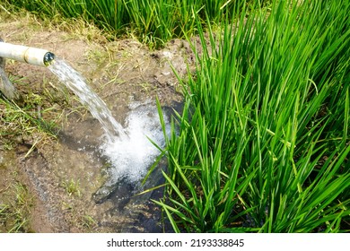 583 Tube Well Engine Images, Stock Photos & Vectors | Shutterstock