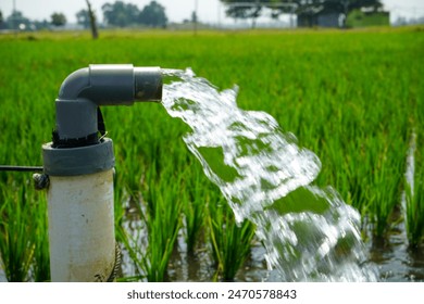 Irrigation of rice fields using pump wells with the technique of pumping water from the ground to flow into the rice fields. The pumping station where water is pumped from a irrigation canal system.