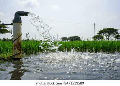 Irrigation of rice fields using pump wells with the technique of pumping water from the ground to flow into the rice fields. The pumping station where water is pumped from a irrigation canal system.