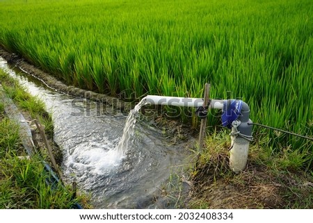 
Irrigation of rice fields using pump wells with the technique of pumping water from the ground to flow into the rice fields.